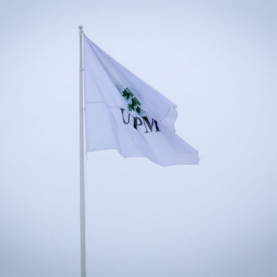 UPM lippu taivasta vasten.