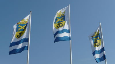 lovisa stads flagga