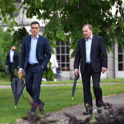 Pedro Sanchez ja Stefan Löfven kävelevät rinnakkain sateenvarjot käsissään.