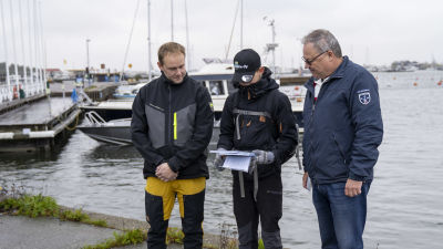 hamn