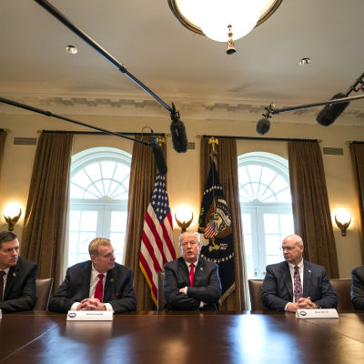 Donald Trump träffar företrädare för den amerikanska stål- och aluminiumindustrin, i Vita huset den 1 mars 2018.