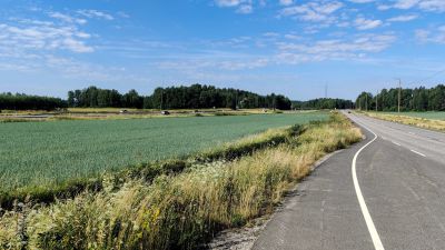 En äng och en väg en solig sommardag.