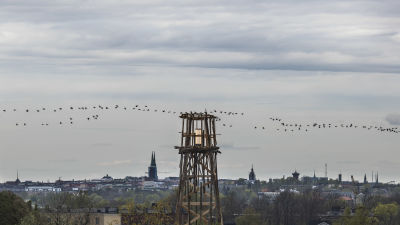 Fyrliknande konstruktion framför Helsingforsvy.