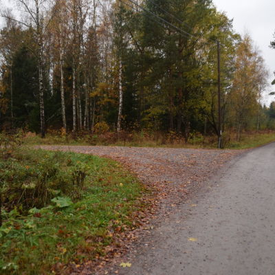 En tomt med en massa träd i Västankvarn i Ingåd är det ska byggas ett slakteri.