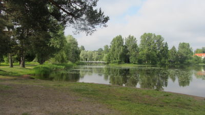 Träd och gräs intill vattendrag en vacker sommardag.