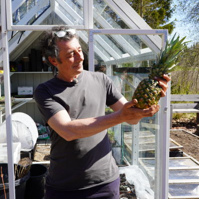 En man med en ananas i handen framför ett växthus.