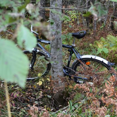 dumpad cykel i skog