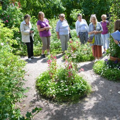 Maarit Lehto guidar besökare i Fredrikas trädgård vid Runebergs hem i Borgå. 