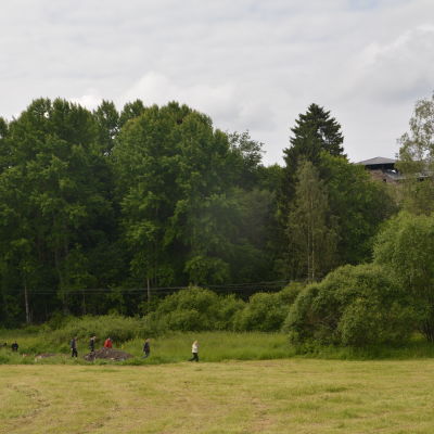 Utgrävningar vid Raseborgs slott