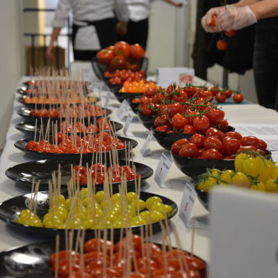 Tomater på provsmakningsdag vid Vasa yrkesinstitut.