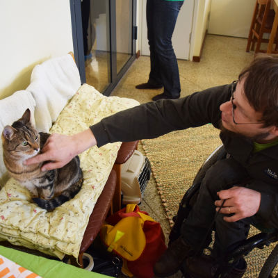 Jyrki Nieminen var den första kunden på kattkafeet i Vik i maj 2015