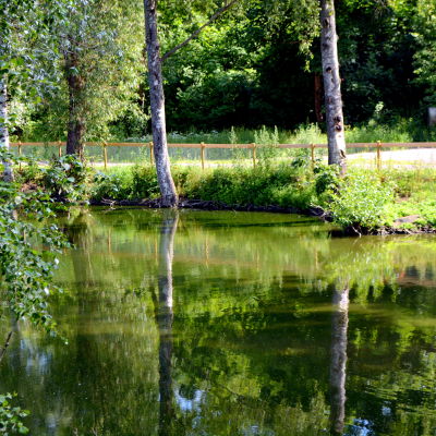 Sandbäcks park på Forsby sågområde