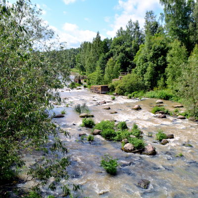 Forsby å