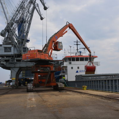 Havre lastas på ett fartyg i Vasa hamn som ska föra den till marknaderna i Tyskland.