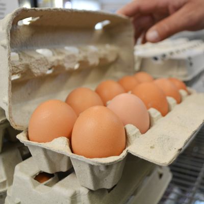 Tio närproducerade ägg i en äggkartong.