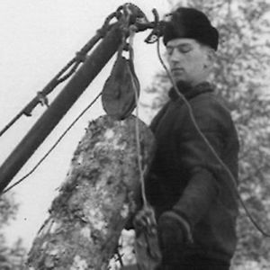 Metsätyömies nostaa tukkeja.