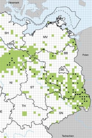 Karta över vargförekomsten i nordöstra Tyskland år 2018. BB = Brandenburg Karta över vargförekomst i den tyska delstaten Brandenburg