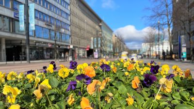 Blomrabatter vid gågata i centrum av Lahtis.