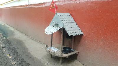 Ett kattcafé.