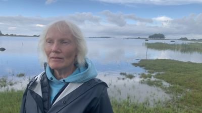 En kvinna i regnrock står vid en havsstrand