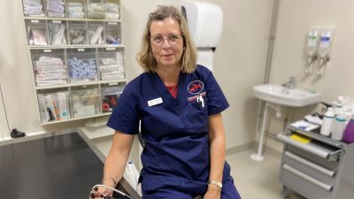 Veterinärerna jobbar och sliter men är ändå för få u2013 djurägare 