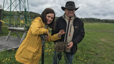 Sanna Kankaanrinta och Ilkka Herlin