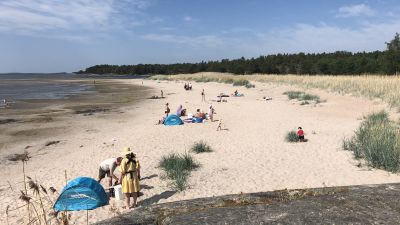 Vy över sandstrand.
