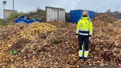 En kvinna i gul arbetsdräkt står vid en stor lövhög.