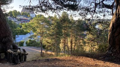 Tallen på Borgbacken i Borgå som Edelfelt målade av 1892
