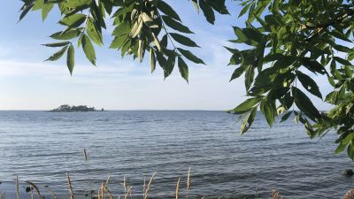 Utsikt från holme mot havet