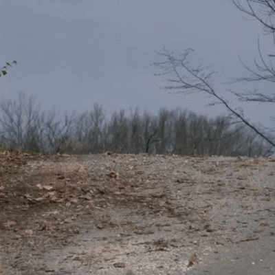 Toyota Yaris Kroatian MM-rallitesteissä.