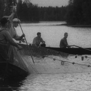 Kalastajia kokemassa verkkojaan