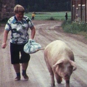 Esa Sosunow Läskilinssi ja sika sippurahäntä -jaksossa 1977