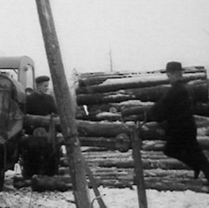 Metsätyömiehet kuorivat puutukkeja 1966.