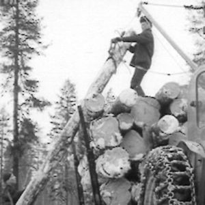 Metsätyömies nostaa tukkeja.