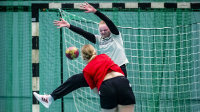 PIF Handbolls damerna