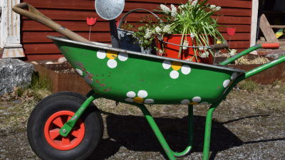 En grön skottkärra dekorerad med vita blommor, lastad med en hink med vita vårblommor, en vattenkanna i zink och en grep.