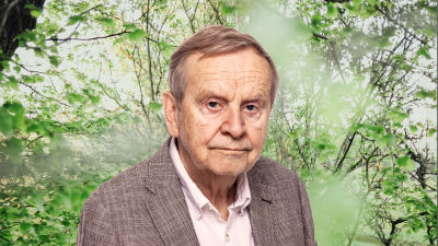Johan Bargum ser rakt in i kameran, bakom honom syns en grön skogsdunge.