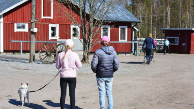 Kvinnor och häst
