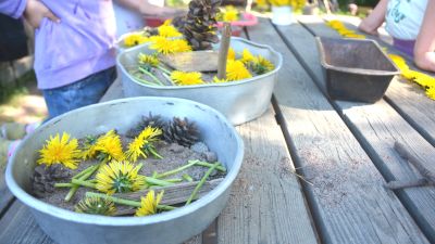 Barn leker med sand och maskrosor.