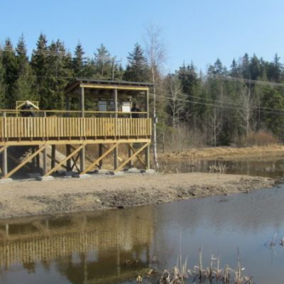 Järvelän kosteikon uusi lintulava
