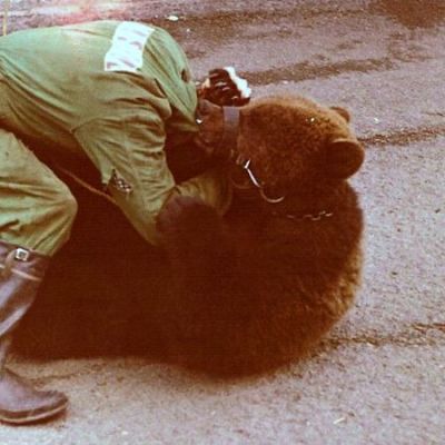 Reino Koivuniemi painii karhun kanssa