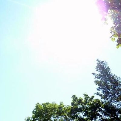 Aurinko paistaa puiden lomitse.