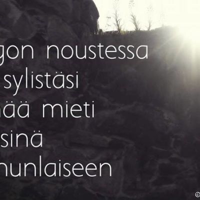 Tommy Tabermann Runot Rakkaus Google Search With Images