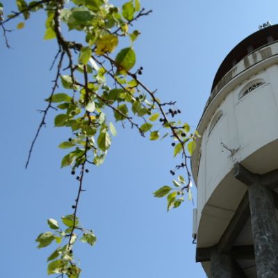 Mikkelin Naisvuoren Näkötorni