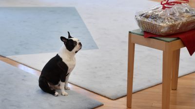 presidentens hund Lennu är död
