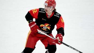 Hannes Björninen.