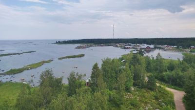 Utsikt från utkikstorn. Man ser hav, skog och röda stugor.