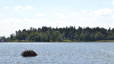 Sommarstugor i Kristinestad