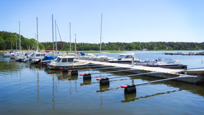 En brygga med båtar förtöjda vid bryggan. Soligt sommarväder.